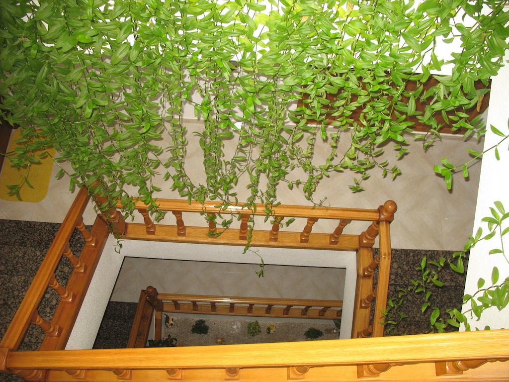 A Veiga Samos